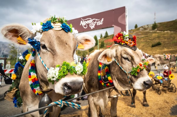 ALPENFEST 2026: IN LIVIGNO, ALPINE TRADITION COMES TO LIFE ONCE AGAIN