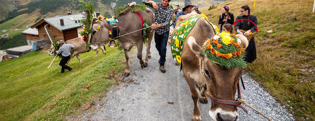 LIVIGNO TRADITIONS