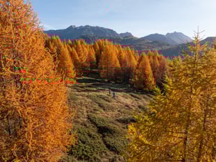 AUTUNNO A LIVIGNO: UN WEEKEND TRA PROFUMI ALPINI E PASSI NELLA NATURA