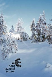 thumb_svizzero