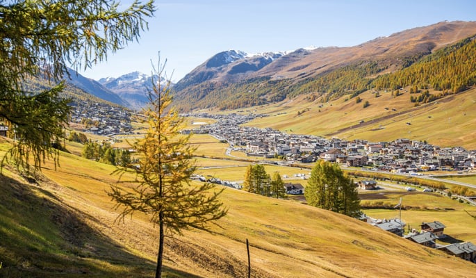 5 UNMISSABLE TRAILS FOR DISCOVERING THE COLOURS AND SCENTS OF AUTUMN IN LIVIGNO