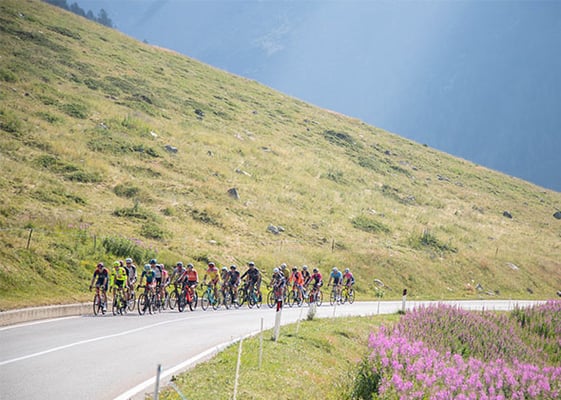 Alé la Merckx 2024: Verona's epic granfondo moves to Livigno