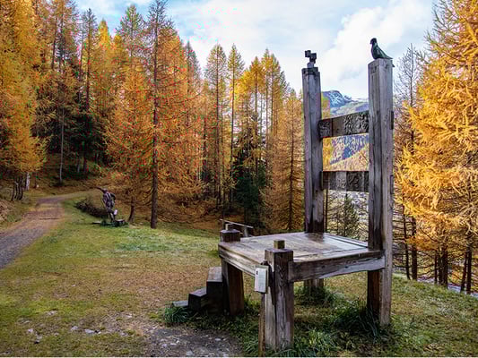 LIVIGNO, SI ARRICCHISCE IL SENTIERO D’ARTE NEL BOSCO
