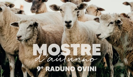 MOSTRE D'AUTUNNO - 9° RADUNO OVINI