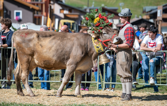 1.Alpenfest_gallery