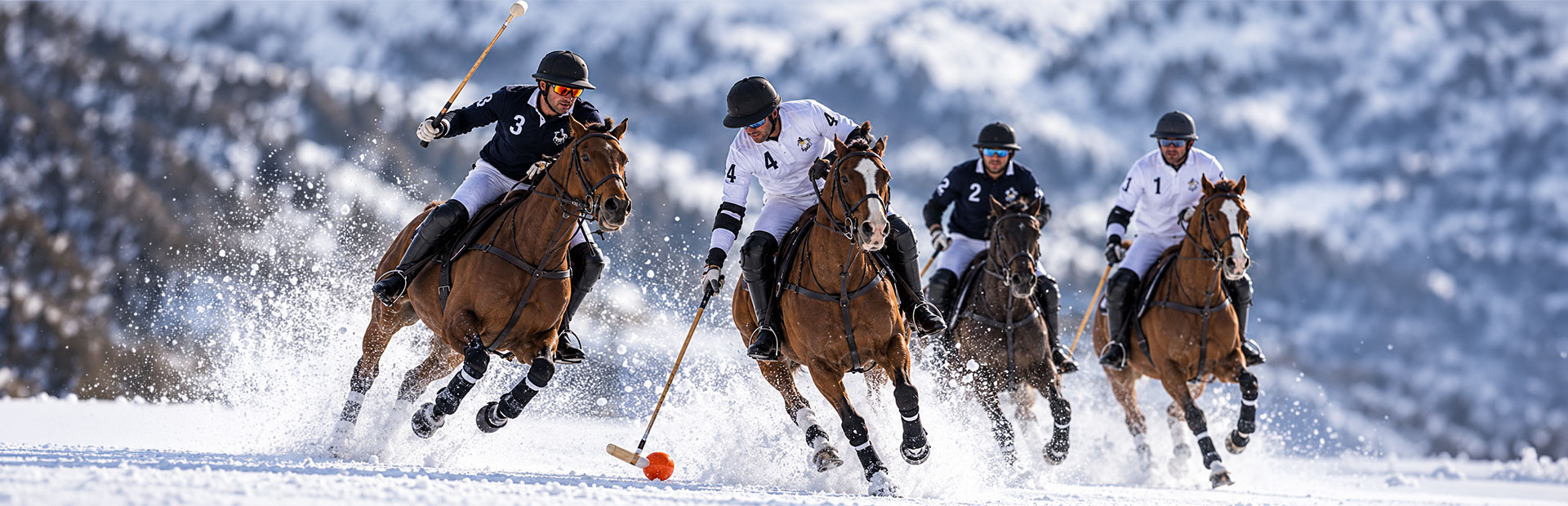 1920X620-POLO