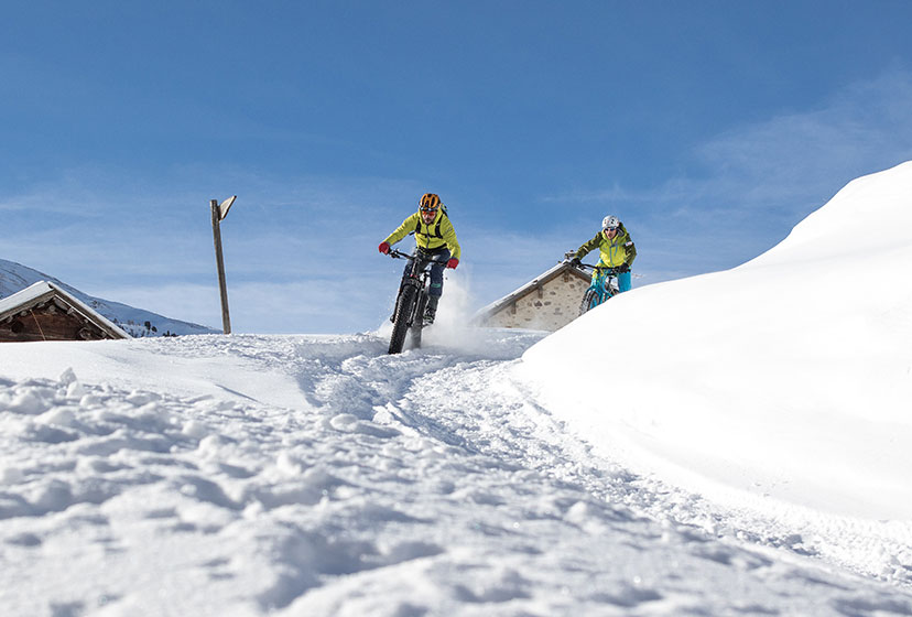 FAT BIKE SINGLE TRAIL TOUR