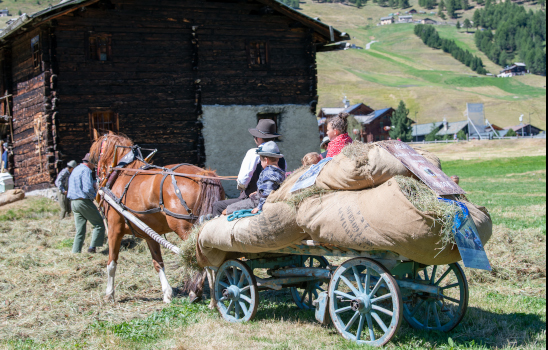 Festa dal Fen_548X350-1