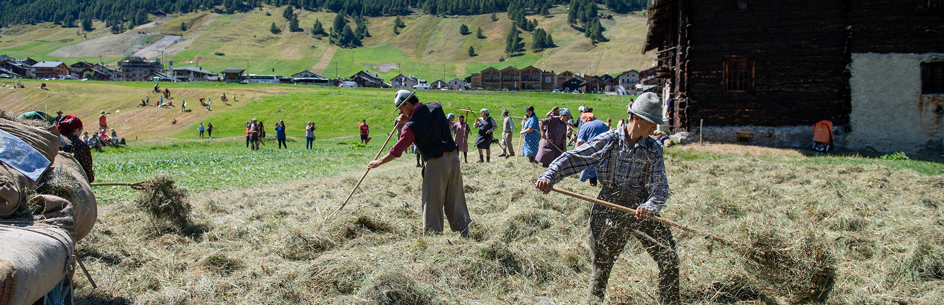 Festa dal fen (2)