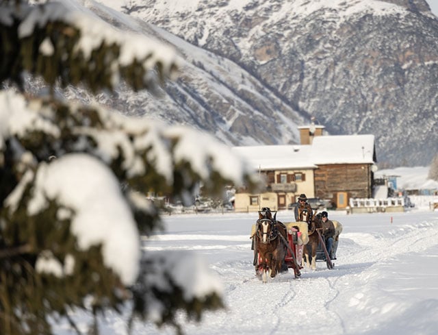 WINTERZAUBER: PFERDESCHLITTENFAHRT UND ABENDESSEN IM AGRITURISMO