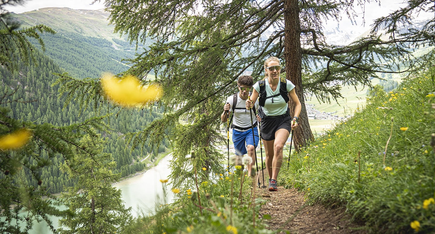 Easy hike 
