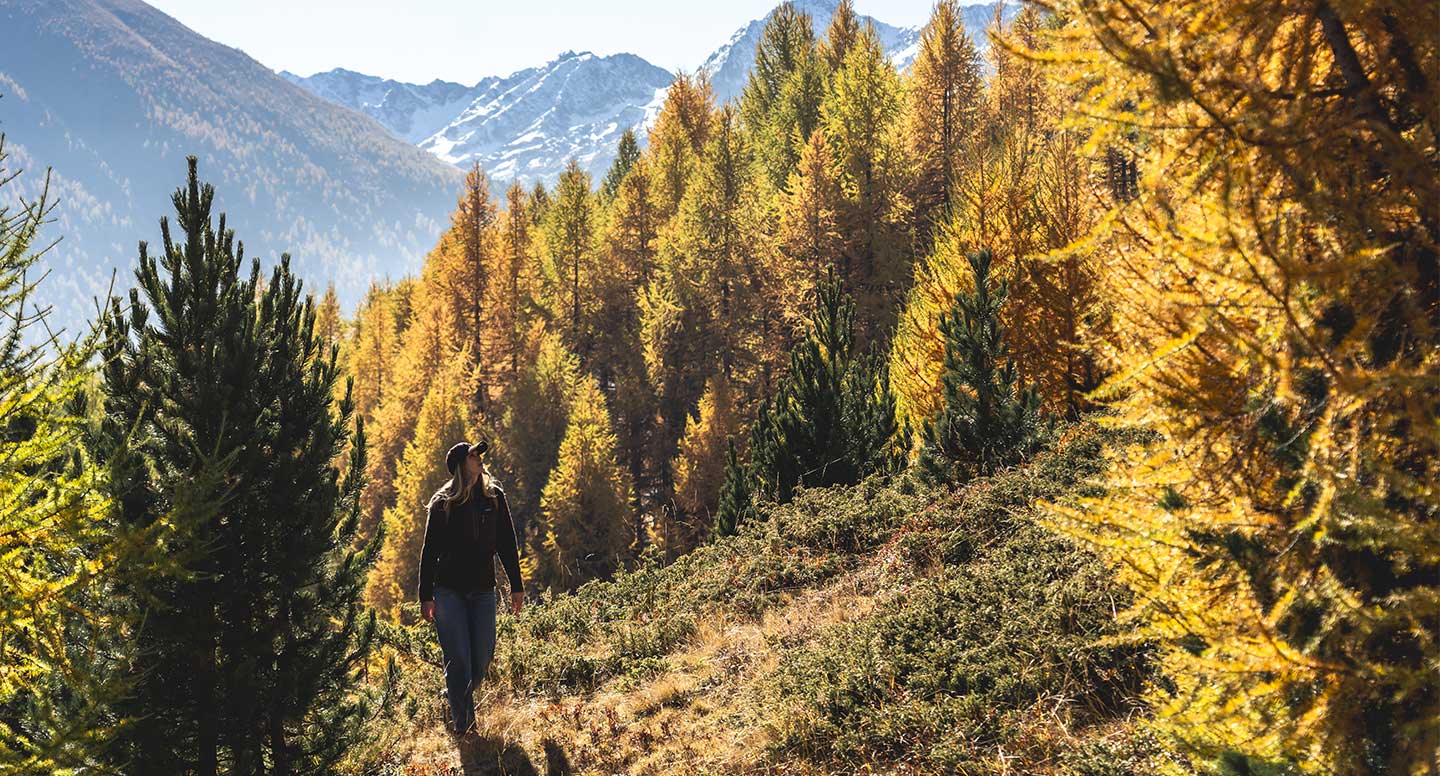 Sabato 3 Ottobre - Impronte d'Autunno