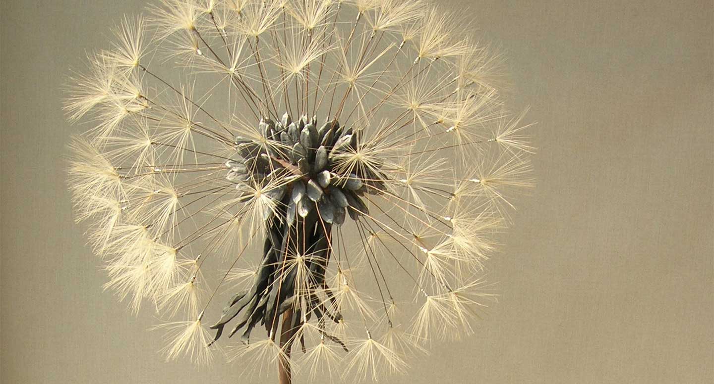 Il respiro della Terra