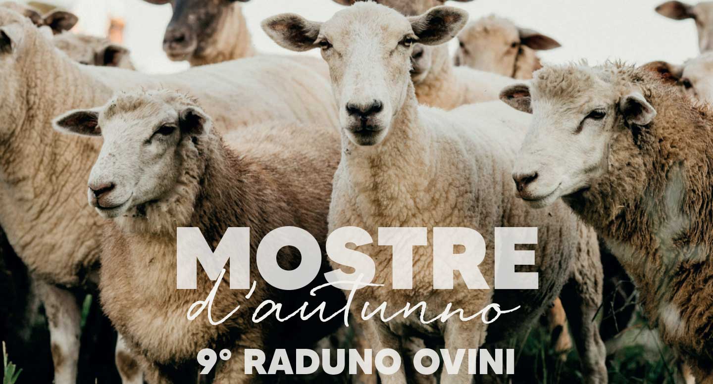 17 ottobre - 9° raduno ovini