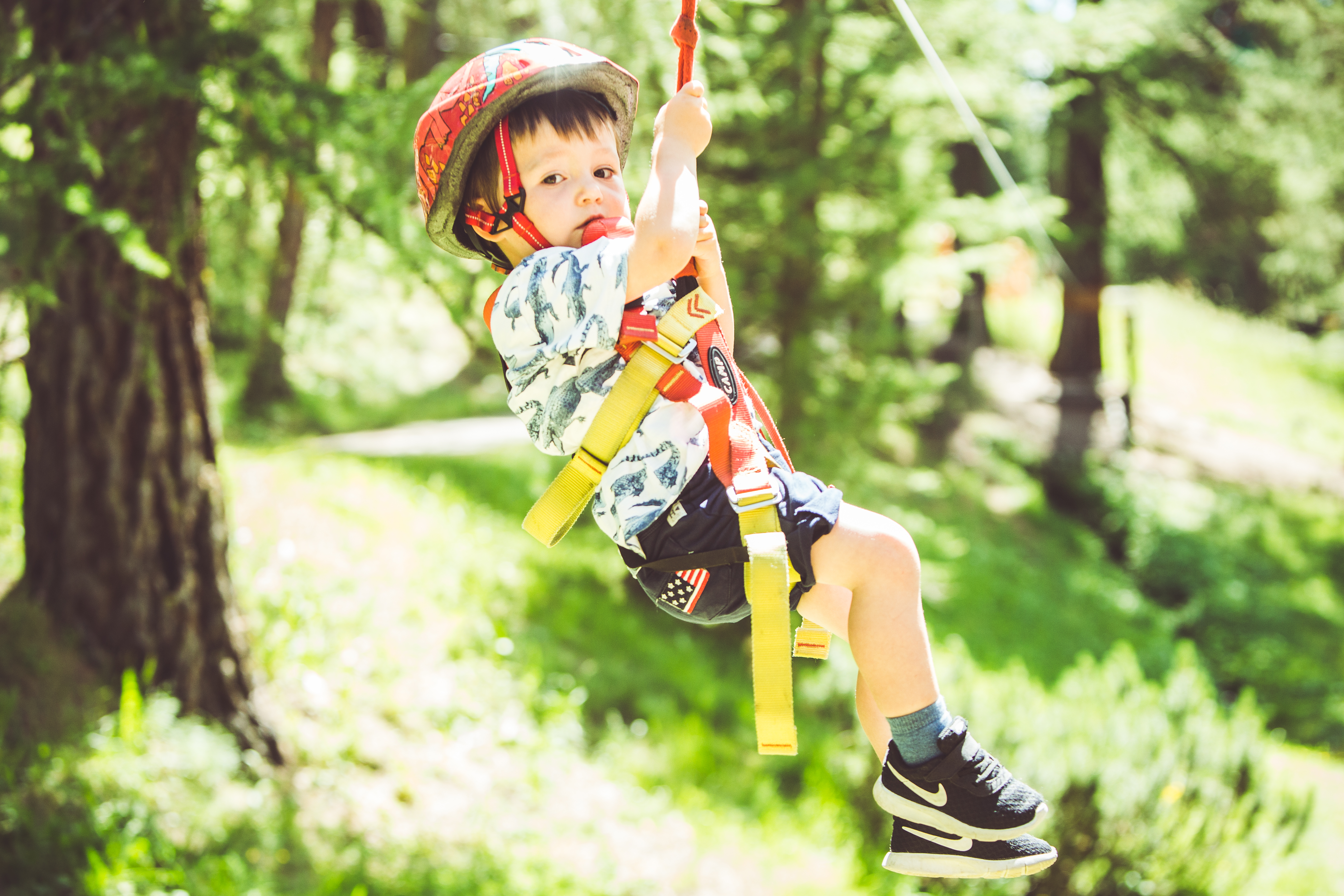 Larix Park_Copy Eze Urrets (11)