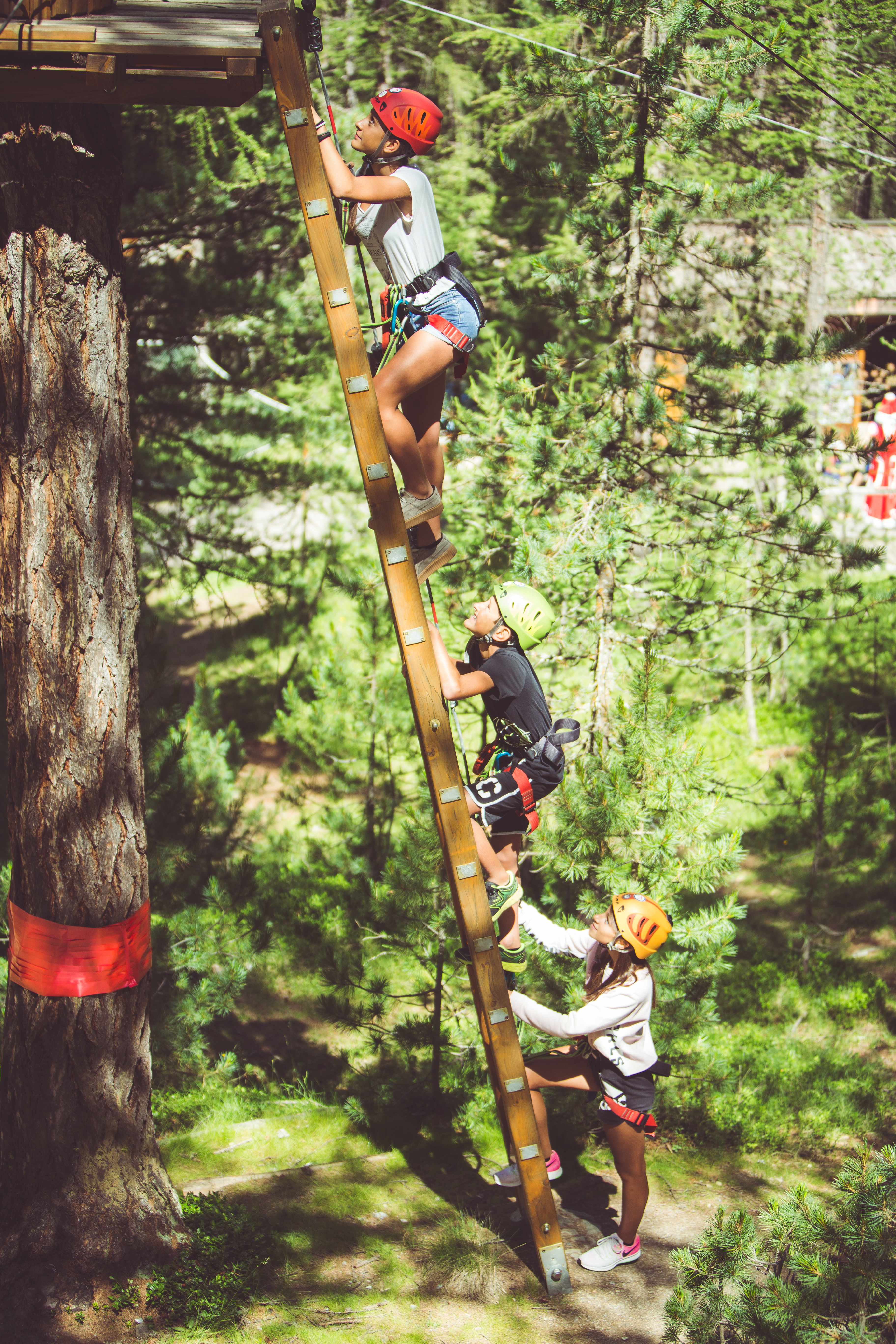 Larix Park_Copy Eze Urrets (9)