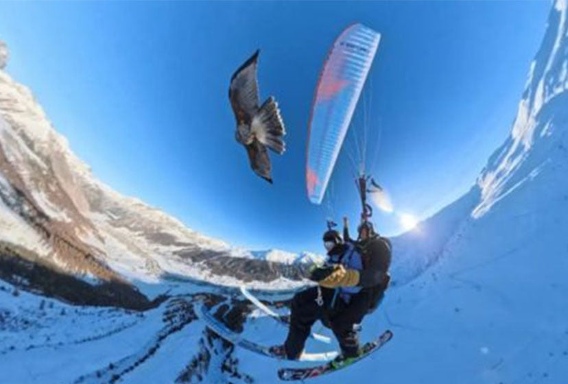 TANDEM GLEITSCHIRMFLUG MIT GREIFVOGEL