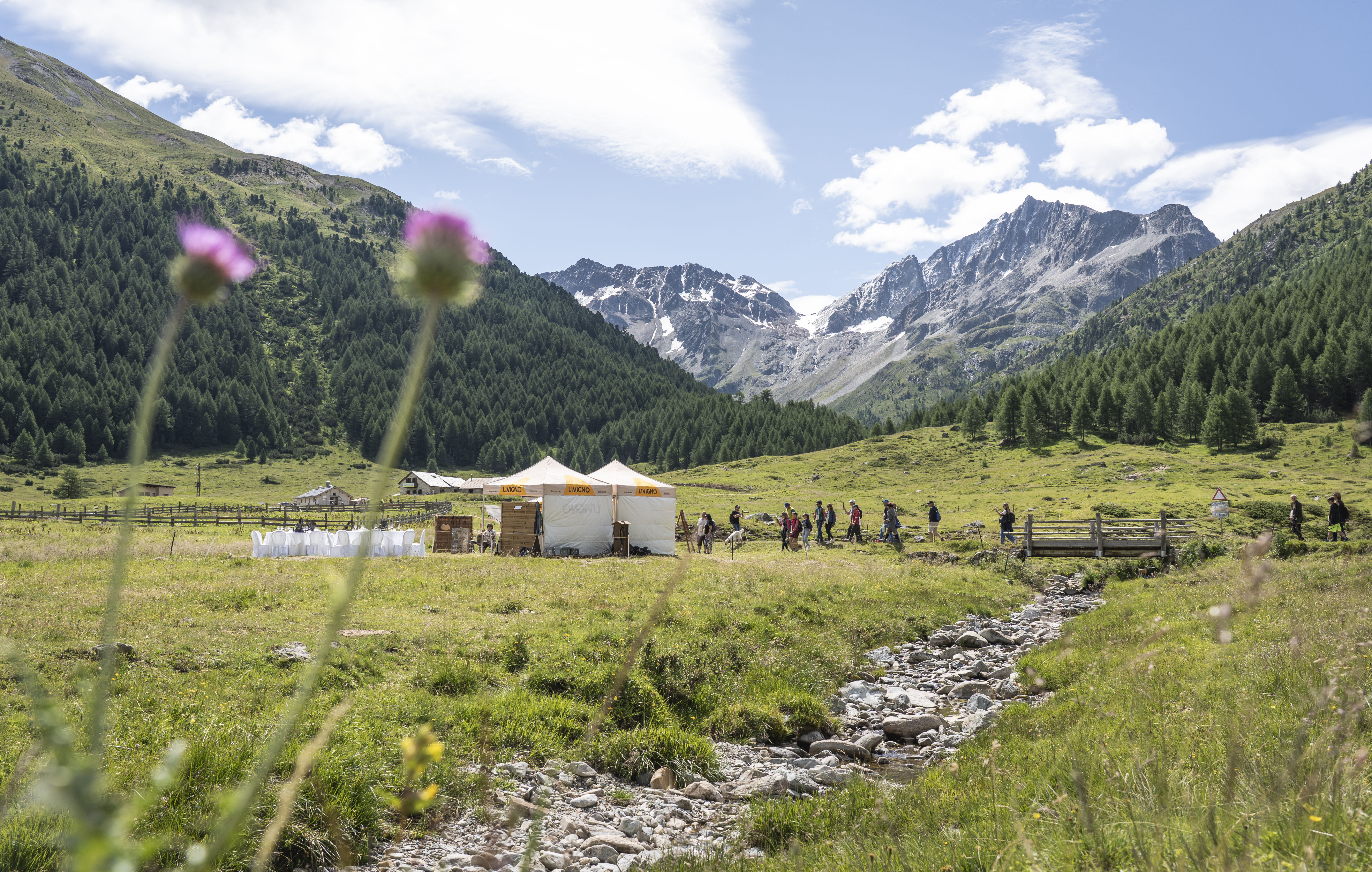 FINE DINING AMONG THE PEAKS: LIVIGNO ENCHANTS WITH SENTIERO GOURMET