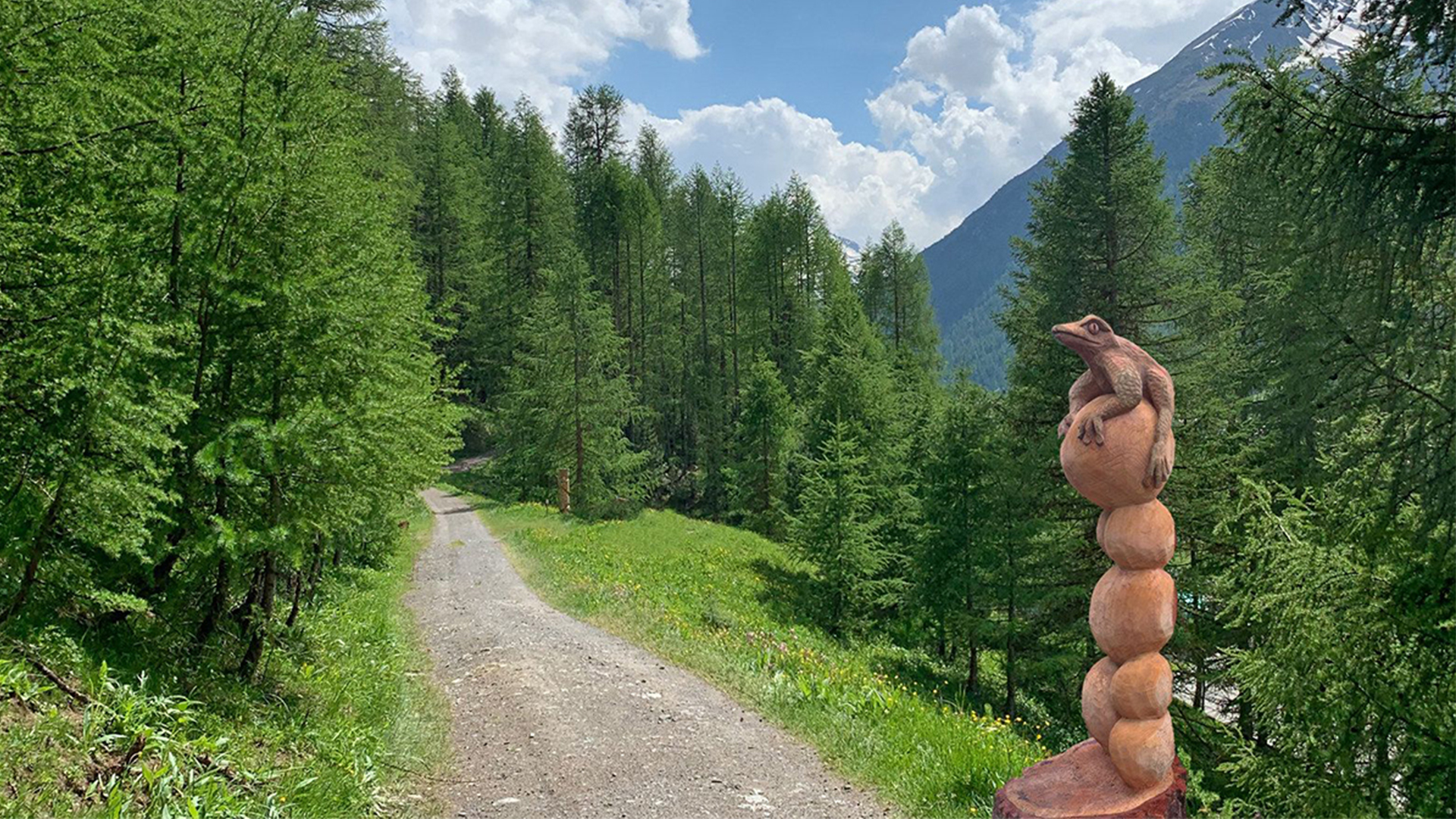 Sentiero D'arte