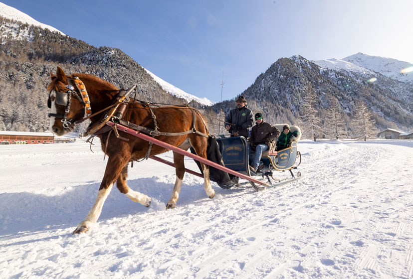 HORSE-DRAWN SLEIGH RIDE