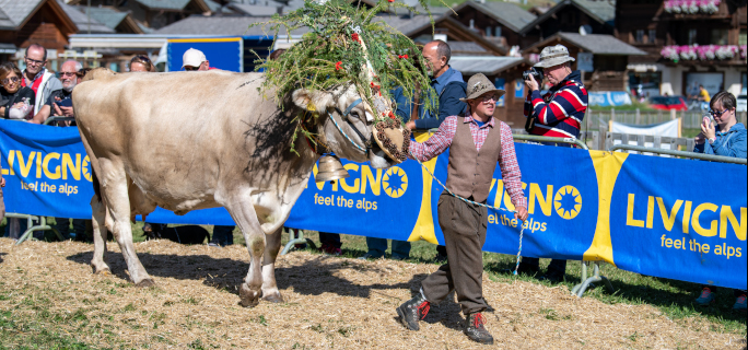 alpenfest_1_684x280