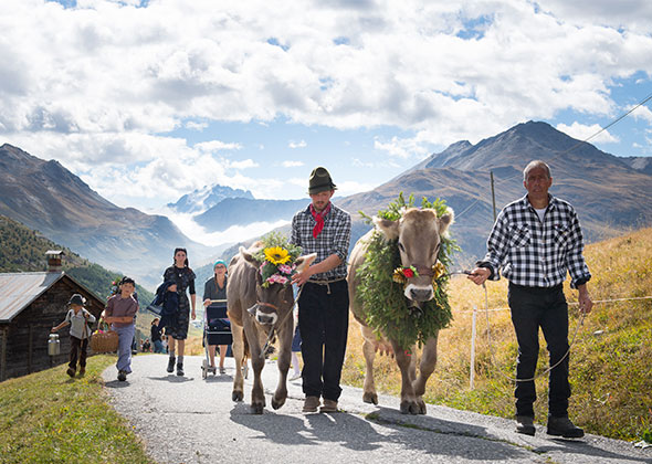 ALPENFEST IN LIVIGNO – EINE ZWEITÄTIGE VERANSTALTUNG ZUM FEIERN DES ALPABZUGS