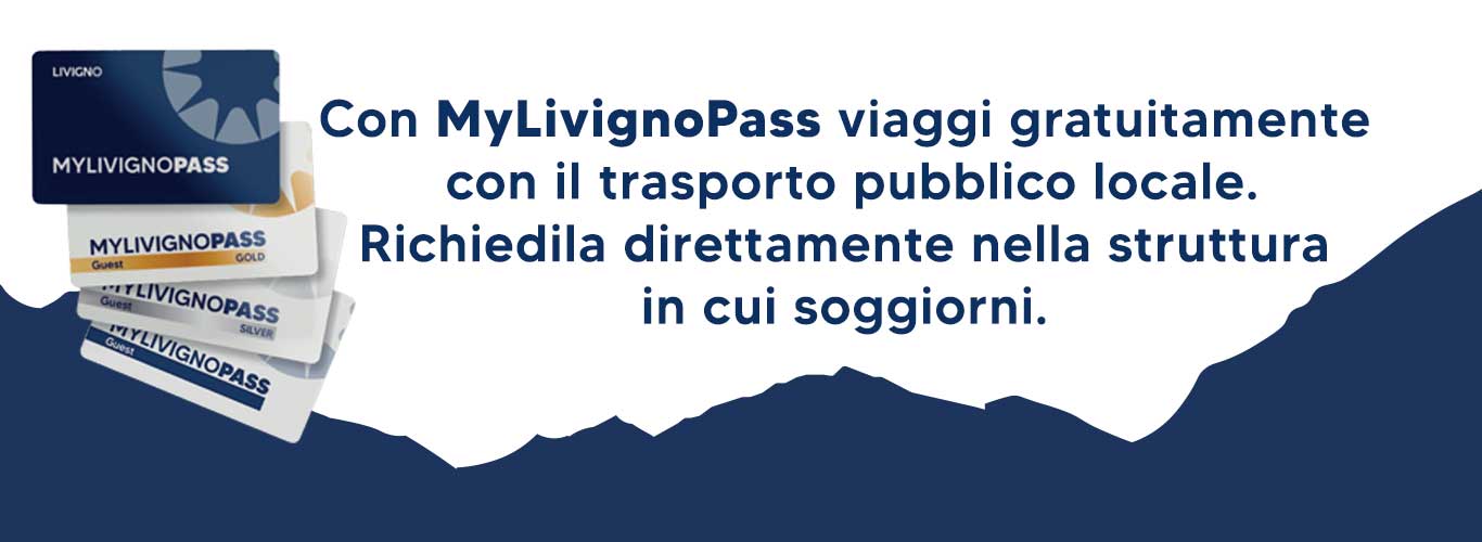 banner-ita banner-ita