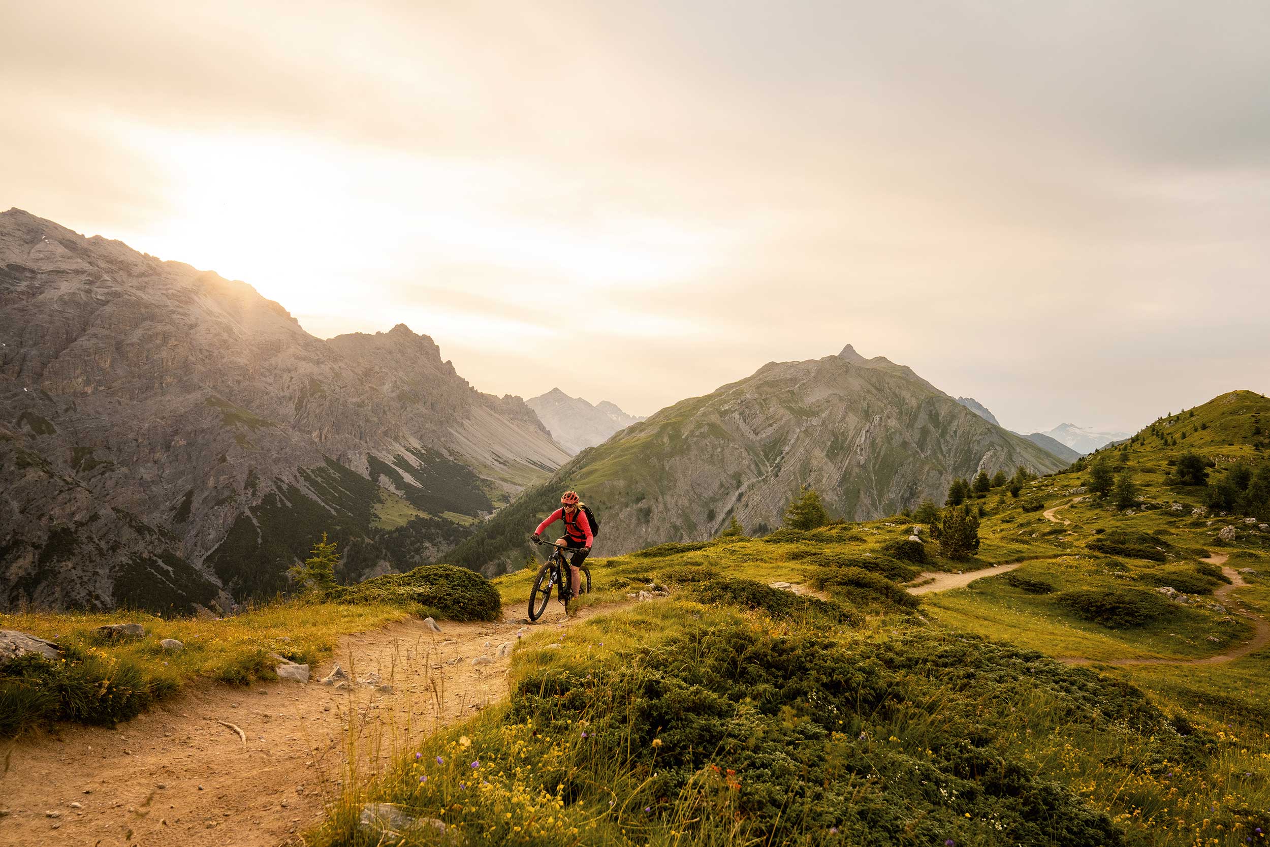 mtb-2500x1667
