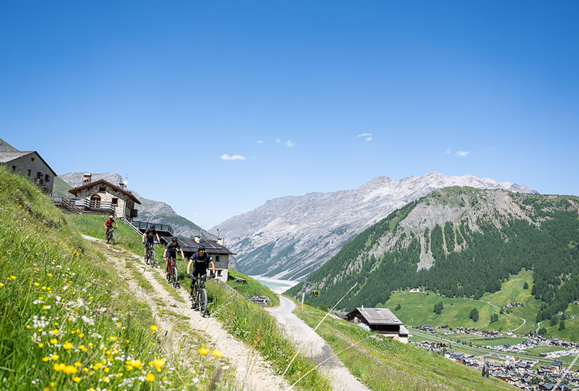 GUIDED BIKE TOURS - EASY LEVEL