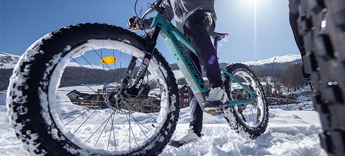 Fat Bike - Routes and Rental