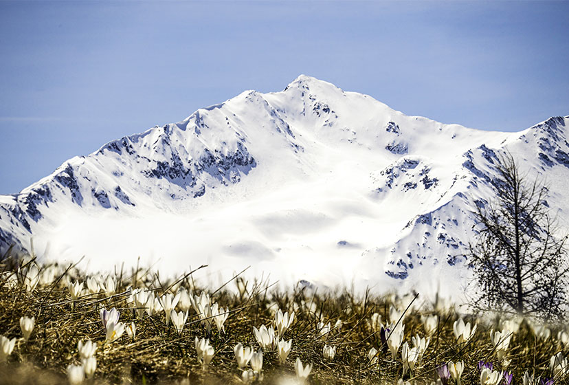 ESCURSIONI DI PRIMAVERA