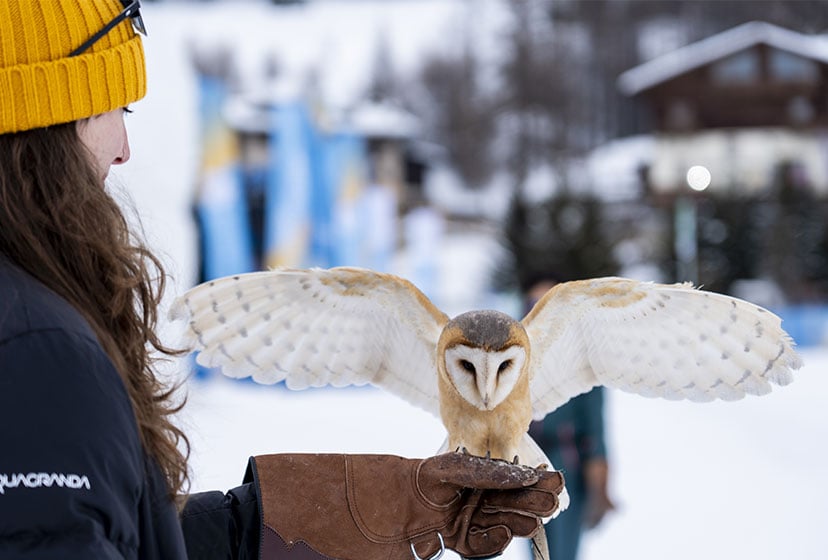 BAPTISM OF THE GLOVE